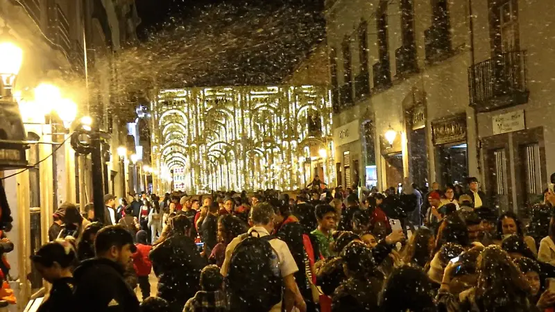 Adornos Navidad Centro Histórico 2024 / Gerardo Tavarez